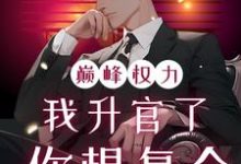 巅峰权力：我升官了你想复合（林磊）小说推荐巅峰权力：我升官了你想复合全章小说阅读-筷子文学