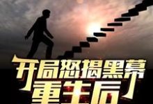 开局怒揭黑幕,重生后整顿官场陈知行完结小说推荐,开局怒揭黑幕,重生后整顿官场全章小说阅读-筷子文学