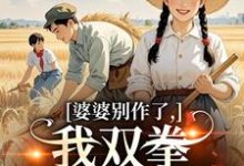 (全文)婆婆别作了，我双拳一出就是虐免费小说全本，夏晚晴赵宴京试读更新章节-筷子文学