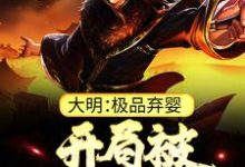 大明:极品弃婴,开局被老朱捡回家最新完结小说大明:极品弃婴,开局被老朱捡回家朱炫免费小说-筷子文学