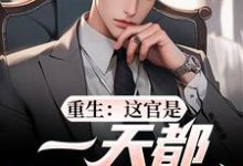 重生：这官是一天都不想当了推荐完结小说，重生：这官是一天都不想当了梁惟石唐欣怡免费小说全本-筷子文学
