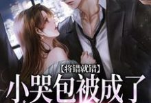 将错就错：小哭包被成了大佬心尖宠（慕汀洲姜桃）小说推荐将错就错：小哭包被成了大佬心尖宠全章小说阅读-筷子文学