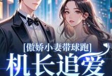 (全文)傲娇小妻带球跑,机长追爱不停歇顾予琛徐歆薇完结小说推荐傲娇小妻带球跑,机长追爱不停歇试读更新章节-筷子文学
