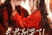 沈婉宁韩云泽夫君别哭了！我来替你虐渣全本免费在线阅读-筷子文学