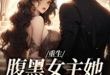 (全文)重生：腹黑女主她携霸总而来免费小说全本，沈禾宋敬呈试读更新章节-筷子文学