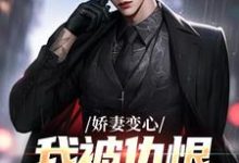 路无铭墨凉馨娇妻变心，我被仇恨占据了全身全本免费在线阅读-筷子文学