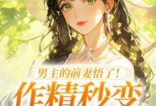 (全文)男主的前妻悟了！作精秒变粘人精免费小说全本，许岁宁霍青山试读更新章节-筷子文学