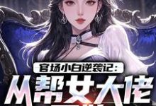 官场小白逆袭记：从帮女大佬开始唐诚李文静最新完结小说，官场小白逆袭记：从帮女大佬开始全本免费在线阅读-筷子文学