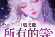 遇见他，所有的等待都值得推荐完结小说，遇见他，所有的等待都值得夏颜谭正东免费小说全本-筷子文学