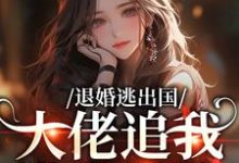 (全文)退婚逃出国,大佬追我满世界跑(江野崎楚灵兮)试读更新章节退婚逃出国,大佬追我满世界跑免费小说-筷子文学