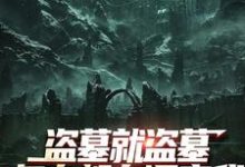 (全文)盗墓就盗墓，怎么都在调查我热门小说排行榜，盗墓就盗墓，怎么都在调查我吴邪白小白全章小说阅读-筷子文学