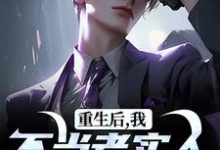 重生后，我不当老实人当浪子！推荐完结小说重生后，我不当老实人当浪子！(秦守赵瑞龙)免费小说全本-筷子文学