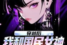 穿越后，我和国民女神成了队友热门小说排行榜穿越后，我和国民女神成了队友苏星月林烟免费小说全本-筷子文学