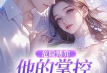 (全文)危险博弈:他的掌控与她的反杀叶时欢全本免费在线阅读-筷子文学