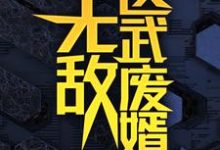 (全文)无敌医武废婿秦铭小说推荐，无敌医武废婿全章小说阅读-筷子文学