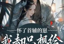 怀了首辅的崽，我却只想给娃找后爹热门小说排行榜怀了首辅的崽，我却只想给娃找后爹裴砚声崔令宜免费小说全本-筷子文学