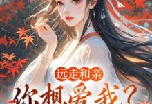 (全文)远走和亲,你想爱我?晚了完结小说推荐姜兰阮宜年全本书籍阅读-筷子文学