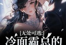 (全文)无处可逃：冷面霸总的专宠小娇妻（傅周烬苏挽挽）全本书籍阅读无处可逃：冷面霸总的专宠小娇妻免费小说全本-筷子文学