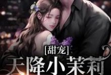(全文)甜宠：天降小茉莉住进了我家（沈津南林听）免费小说甜宠：天降小茉莉住进了我家试读更新章节-筷子文学