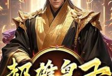 超雄皇子萧凡热门小说排行榜超雄皇子免费小说-筷子文学