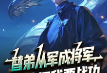 (全文)替弟从军成将军，归来问我要战功（叶临渊）全本书籍阅读替弟从军成将军，归来问我要战功免费小说全本-筷子文学