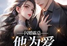 闪婚霸总,他为爱抛弃一切(苏绿柔厉墨焱)全章小说阅读-筷子文学