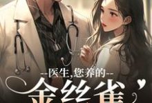 医生，您养的金丝雀要飞走了最新章节阅读医生，您养的金丝雀要飞走了(苏慕春丁嘉朗)试读更新章节-筷子文学