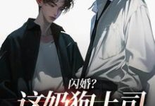 (全文)闪婚？这奶狗上司真难缠(赵芜鱼邓北辰)全本免费在线阅读-筷子文学