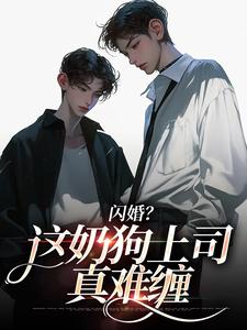 (全文)闪婚？这奶狗上司真难缠(赵芜鱼邓北辰)全本免费在线阅读