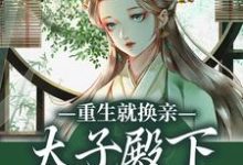 重生就换亲,太子殿下被钓翘嘴了推荐完结小说,重生就换亲,太子殿下被钓翘嘴了宋婉宁萧承瑾免费小说全本-筷子文学