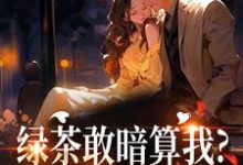绿茶敢暗算我？姐分分钟让你哭裴瑾珩孟听禾完结小说推荐绿茶敢暗算我？姐分分钟让你哭全本书籍阅读-筷子文学