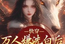 快穿：万人嫌洗白后成香饽饽了推荐完结小说快穿：万人嫌洗白后成香饽饽了(林观贞裴钧)免费小说全本-筷子文学