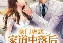 豪门虐恋：家道中落后我提出离婚了（萧丛南傅烬如）全章小说阅读-筷子文学