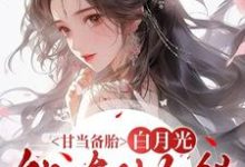 甘当备胎，白月光能有什么错（沈青榕）全本书籍阅读甘当备胎，白月光能有什么错完整版小说-筷子文学