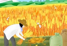 凤谋：现代商界女王狂撩帝心许灼华祁赫苍最新完结小说，凤谋：现代商界女王狂撩帝心全本免费在线阅读-筷子文学