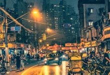 许见微大佬别藏了!想爱就大声说出来全本免费在线阅读-筷子文学