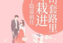 甩了隐富前任,却栽进上司套路里林昭完结小说推荐甩了隐富前任,却栽进上司套路里全本书籍阅读-筷子文学