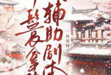 (全文)丫鬟拿稳辅助剧本(傅初霁)试读更新章节丫鬟拿稳辅助剧本免费小说-筷子文学