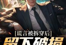 (全文)谎言被拆穿后，留下破损的婚姻(张齐)全本免费在线阅读-筷子文学