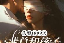 (全文)失明1099天，裴总和孩子我都不要了谢南枝最新完结小说失明1099天，裴总和孩子我都不要了免费小说全本-筷子文学