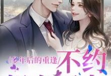 (全文)多年后的重逢，不约，姐有男友（禾念安池少东）全本书籍阅读多年后的重逢，不约，姐有男友免费小说全本-筷子文学