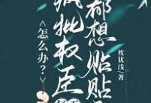 怎么办？疯批权臣每天都想贴贴我最新章节阅读怎么办？疯批权臣每天都想贴贴我(顾轻舟)试读更新章节-筷子文学