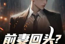 前妻回头？可惜，迟了！热门小说排行榜前妻回头？可惜，迟了！秦风免费小说全本-筷子文学