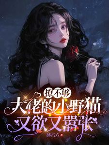 撩不够，大佬的小野猫又欲又嚣张陆晨矅最新完结小说，撩不够，大佬的小野猫又欲又嚣张全本免费在线阅读