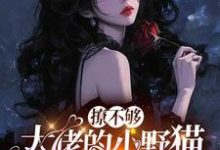 撩不够,大佬的小野猫又欲又嚣张陆晨矅完结小说推荐,撩不够,大佬的小野猫又欲又嚣张全章小说阅读-筷子文学