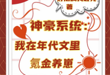 (全文)神豪系统：我在年代文里氪金养崽（叶晓琳）免费小说神豪系统：我在年代文里氪金养崽试读更新章节-筷子文学