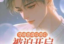 穿成恶毒反派后被迫开启修罗场推荐完结小说穿成恶毒反派后被迫开启修罗场(沈齐云)免费小说全本-筷子文学
