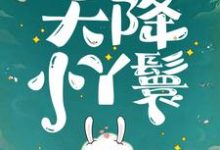 (全文)天降小丫鬟夏夏最新完结小说天降小丫鬟免费小说全本-筷子文学