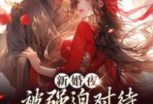 新婚夜被强迫对待,这叫不近女色?(谢临珩虞听晚)全本书籍阅读新婚夜被强迫对待,这叫不近女色?完整版小说-筷子文学
