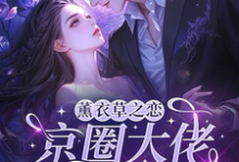 (全文)薰衣草之恋，京圈大佬暗恋我完结小说推荐宁清灵全本书籍阅读-筷子文学
